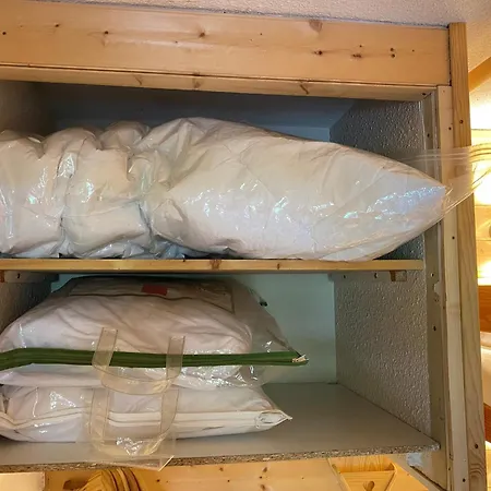 Апартаменты De Montagne Bonascre Ax 3 Domains *